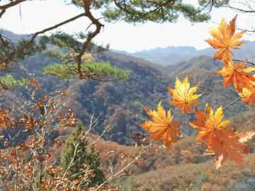 衡水龙源东郡最新消息，城市新地标，宜居新典范